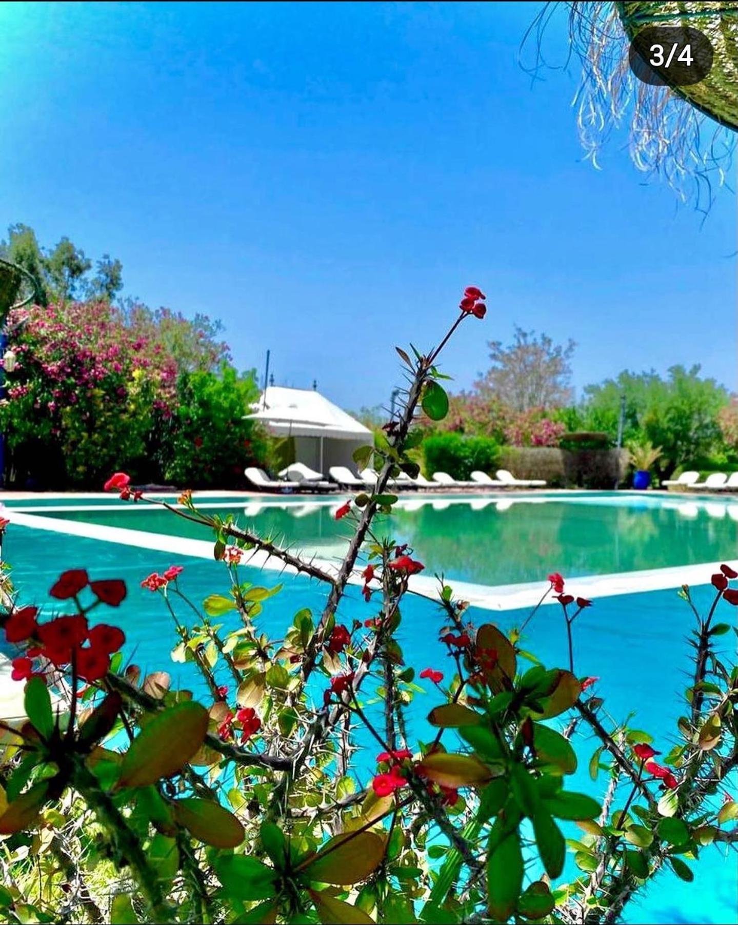Les Jardins D Isis Hotel Marrakesh Buitenkant foto